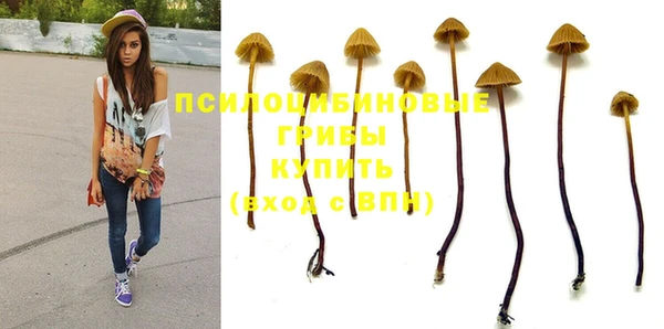 трава Волоколамск