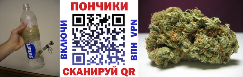 Купить где  Нязепетровск  Канабис сатива 